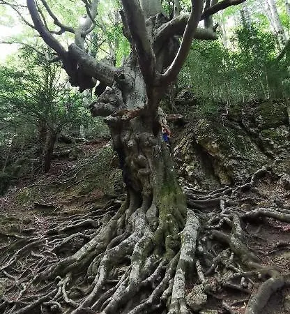 Casa Rural, La Boveda San Jorge (Castellon)